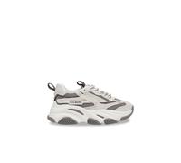 Steve Madden Possession-e Sneakers Bone/grey Taglia: 39 | Scarpe da Allenamento Outlet | Donna | Bianco