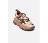 Steve Madden - Privy Marrone - Sneakers 37 Marrone