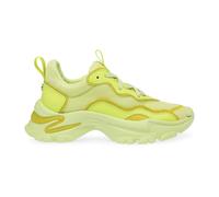 Steve Madden - Scarpe Stringate Profilo Basso - - Shoes - Donna - Verde - 35 1/2 EU