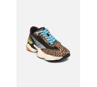 Steve Madden Sneaker Setback