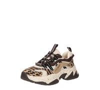 STEVE MADDEN Sneaker bassa 'Animates-LE' terra d'ombra / marrone chiaro / nero Donna STEVE MADDEN 38