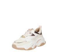 STEVE MADDEN Sneaker bassa 'Progressive' crema / oro / bianco Donna STEVE MADDEN 41 crema / oro / bianco