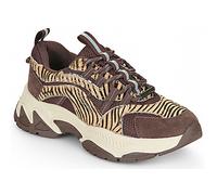 Steve Madden Sneakers basse ANIMATES LE in Marrone 36