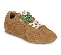 Steve Madden Sneakers basse ASIEL in Marrone 36
