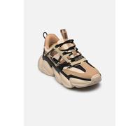 Steve Madden - Spectator Multicolore - Sneakers 41 Multicolore