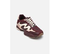 Steve Madden - Speeder Bordeaux - 37 Bordeaux