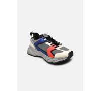 Steve Madden - STANDOUT Grigio - Sneakers 37 Grigio