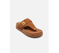 Steve Madden - Tuned-IN Marrone - Zoccoli 37 Marrone