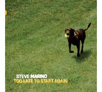 Steve Marino Too Late to Start Again (Vinyl LP) 12" Album