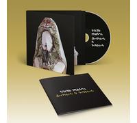 Steve Mason Brothers & Sisters (CD) Album