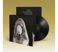 Steve Mason Brothers & Sisters (Vinyl LP) 12" Album