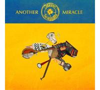 Steve 'n' Seagulls Another Miracle (CD) Album