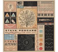 Steve Porcaro The Very Day (Vinyl LP) 12" Album