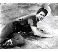 Steve Reeves [1020247] 8x10 Foto (Altre Misure Disponibile)