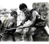 Steve Reeves [1020307] 8x10 Foto (Altre Misure Disponibile)