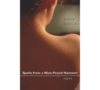 Steve Scafidi Sparks from a Nine-Pound Hammer (Tascabile)