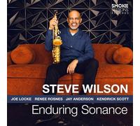 Steve Wilson Enduring Sonance (Vinyl LP) 12" Album