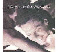 Steve Winwood - Back in The High Life Allemand]