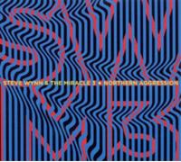 Steve Wynn & The Miracle 3 Northern Aggression (CD) Album