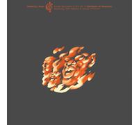 Steven Bernstein & The Ho Manifesto of Henryisms Community Music, Vol (Vinyl LP)