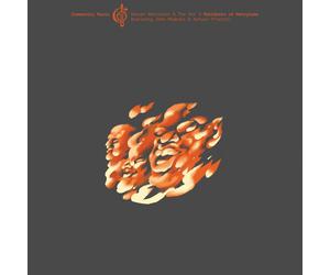 Steven Bernstein & The Ho Manifesto of Henryisms Community Music, Vol (Vinyl LP)