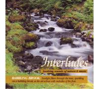 Steven Gruskin - Interludes: Babbling Brook