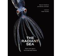 Steven Haddock Sönke Joh The Radiant Sea (Copertina rigida) (PRESALE 09/10/2025)