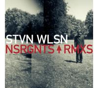 Steven Wilson - Insurgentes