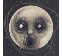 Steven Wilson The Raven That Refused To Sing Doppio Vinile Lp Colorato Verde Ltd