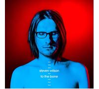 Steven Wilson To The Bone (2xLP Vinile)