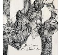 Becca Stevens & The Secret Trio Becca Stevens & the Secret Trio (CD) Album