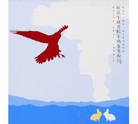 Stevens Sufjan - Enjoy Your Rabbit