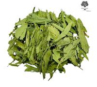 Stevia Foglie Secche Greca 85g - 1,95Kg | Controllo della Glicemia