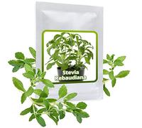 Stevia rebaudiana - 1 porzione di circa 100 semi/confezione - Sostituto naturale di zucchero senza calorie