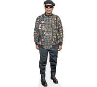 Stevie Wonder (Jacket) a grandezza naturale