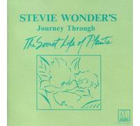 Stevie Wonder - Journey Through the Secret Lif