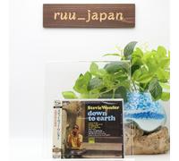 Stevie Wonder SHM-CD "Down To Earth" Japan OBI E nuovo