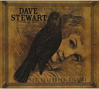 Stewart, Dave - Blackbird Diaries