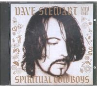 Dave Stewart – Dave Stewart And The Spiritual Cowboys – RCA
