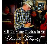 David Stewart Still Got Some Cowboy in Me (CD) Album