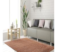 STGAO Tappeto a Pelo Alto 70 x 150 cm Lavabile Tappeto Pelo Lungo Antiscivolo Sostenibile per Grandi Dimensioni Salotto Moderno Cameretta Bimba, Cachi