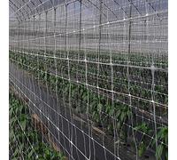 STI Rete per Sostegno e Supporto per Piante Piselli Ortaggi Rampicanti Nr12 1,7x30 mt