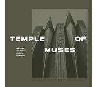 Stian Larsen, Colin Webster, Ruth Goller, Andrew Lisle Temple of Muses (CD)