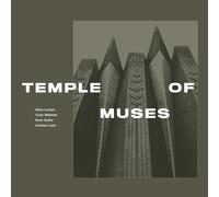 Stian Larsen, Colin Webster, Ruth Goller, Andrew Lisle Temple of Muses (CD)