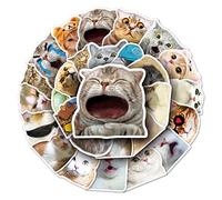 Sticker Meme Gatti - Adesivi Impermeabili Aesthetic per Mobili, Decalcomanie Stichers Gatto