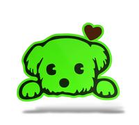 Sticker Olografico Fluo CANE MALTESE Adesivo Decal Moto Casco Army Murale Casa