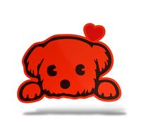 Sticker Olografico Fluo CANE MALTESE Adesivo Decal Moto Casco Army Murale Casa