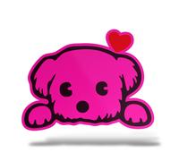 Sticker Olografico Fluo CANE MALTESE Adesivo Decal Moto Casco Army Murale Casa