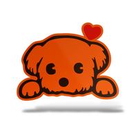 Sticker Olografico Fluo CANE MALTESE Adesivo Decal Moto Casco Army Murale Casa