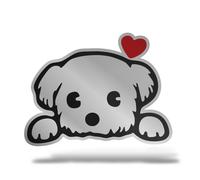 Sticker Olografico Fluo CANE MALTESE Adesivo Decal Moto Casco Army Murale Casa